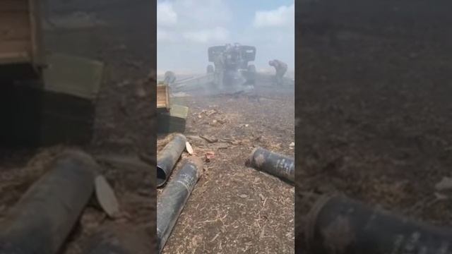 триста тридцать три