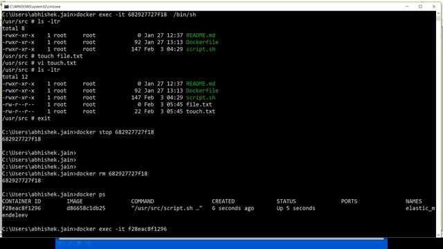 Docker Tutorial - Manage Data with Docker - Introduction - Part11
