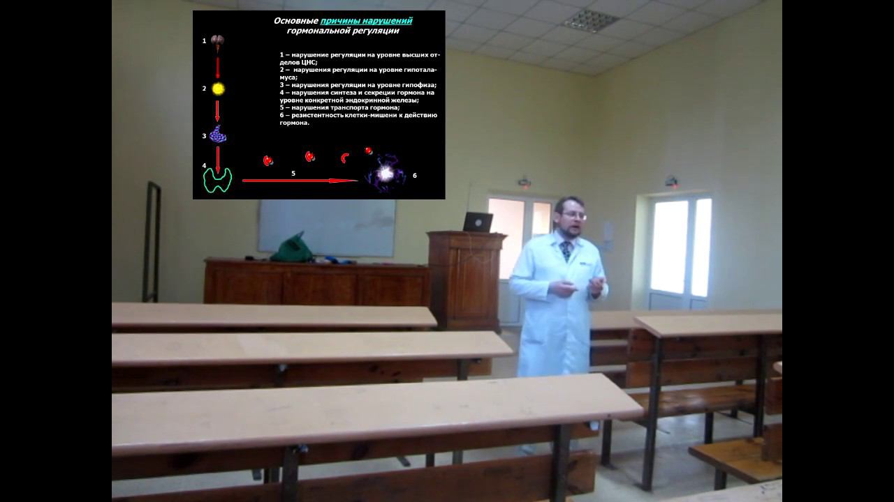 Патофизиология нейроэндокринной системы часть 1