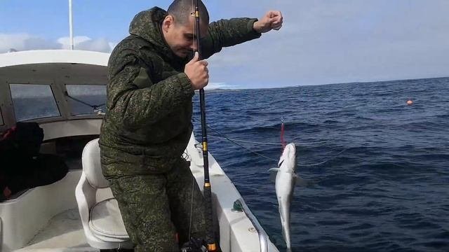 Настоящая морская рыбалка в Баренцевом море. Ловля трески. Отдых и развлечения в Мурманске.