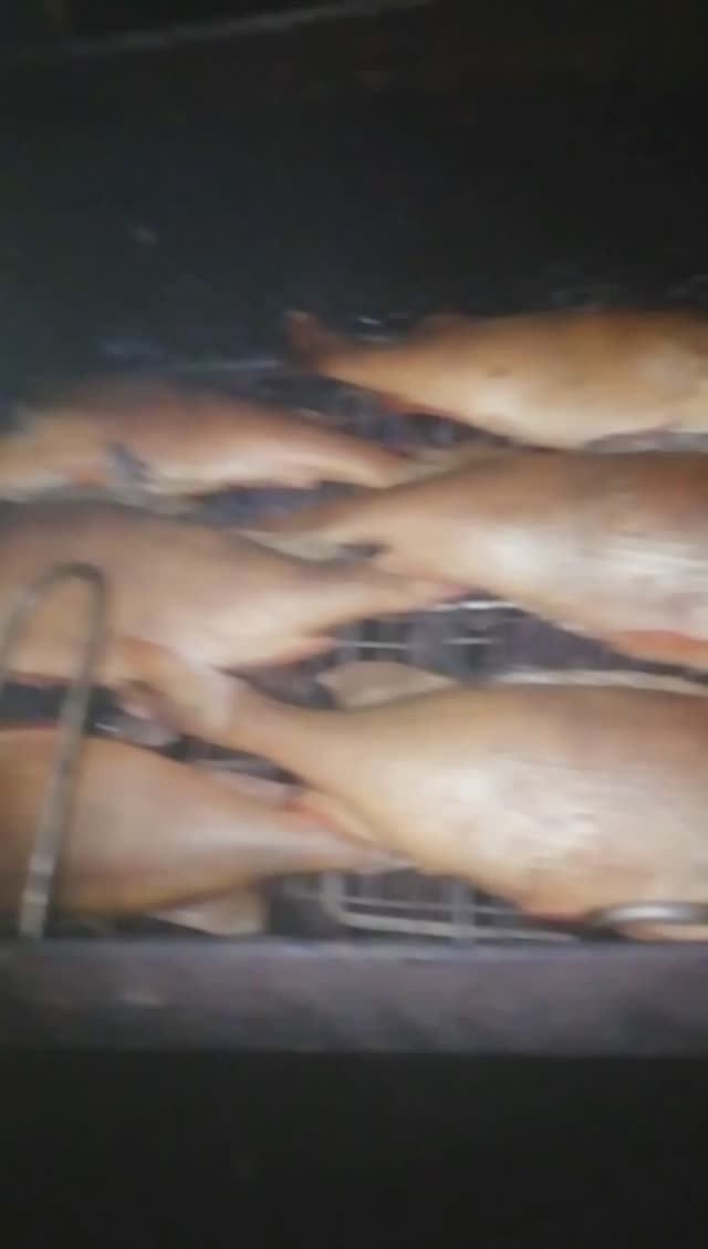 КрасоТищщА