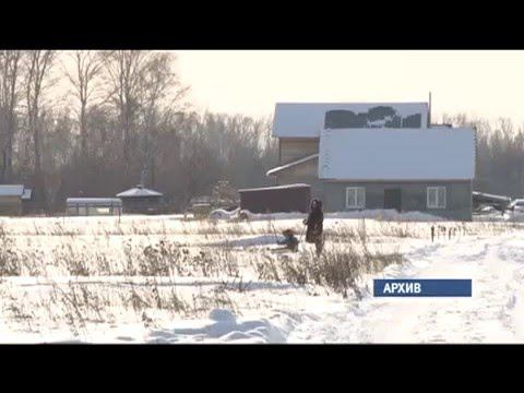 Партия «Справедливая Россия» включилась в предвыборную кампанию в Алтайском крае, Наши новости