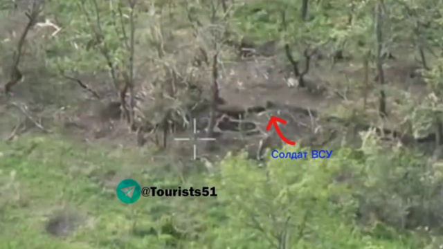🇷🇺🇺🇦 Оператор FPV-дрона 200 бригады ЛенВО загнал свою птицу прямо в укрытие ВСУ на южной окраине