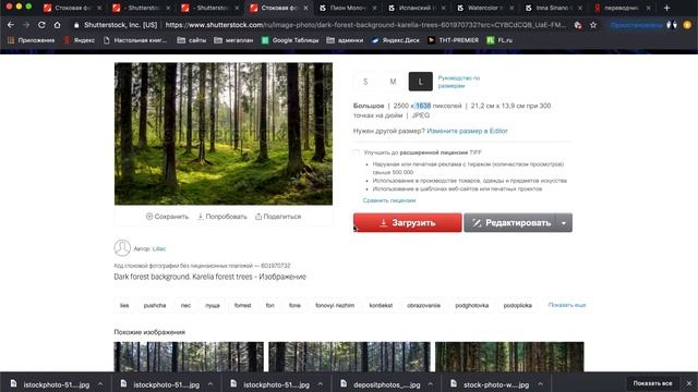 Как выбрать сюжет для необычных обоев?