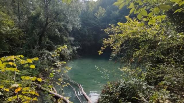 Стоит ли посеяв семена тюльпанов ждать цветов. Папоротник цветет раз в 1000 лет?