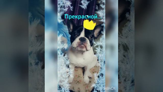 если ты НАСТОЯЩАЯ девочка!!!