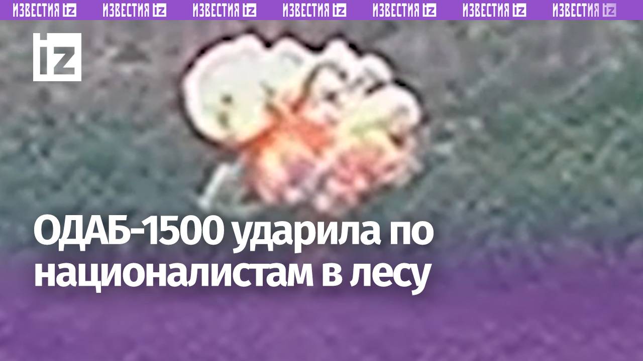 Живая сила ВСУ и ССО под ударом ОДАБ-1500  отвлекали наши силы под Волчанском