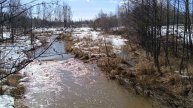 Разлив Судницы весной в Кандаурово (март 2024)