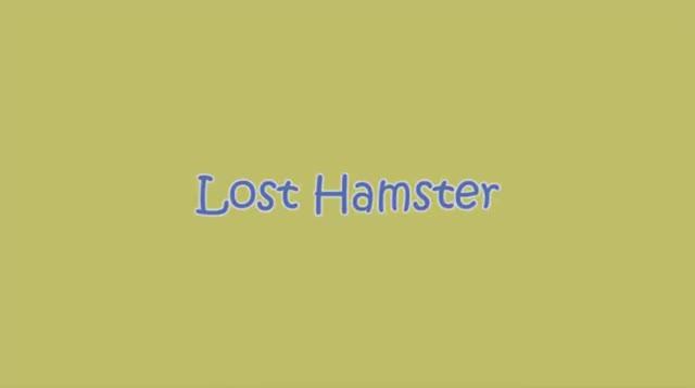 Lost Hamster