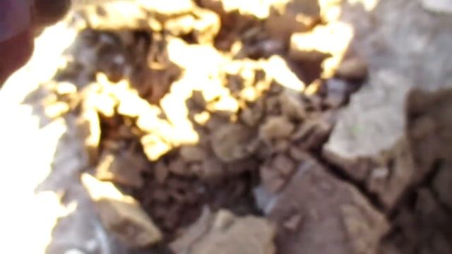 Находки из под картошки