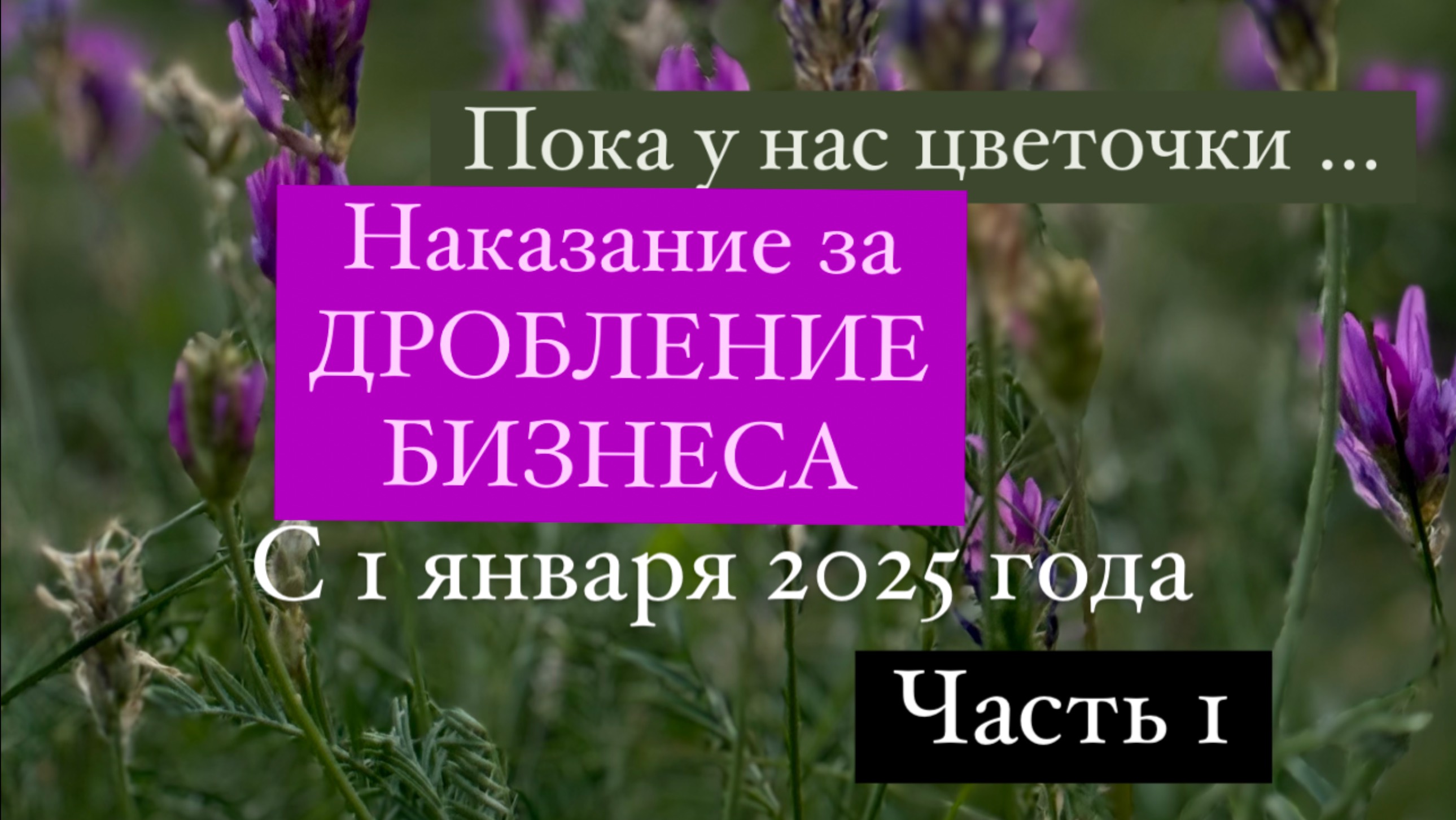 Налоговая реформа 2025. Основные изменения и ответственность за дробление компаний бизнеса