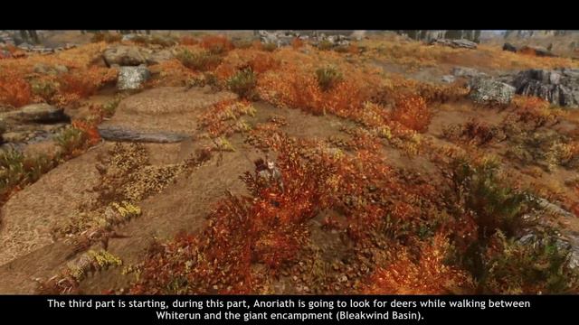 Immersive Citizens - Anoriath Goes Hunting