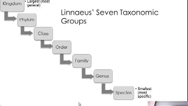 Classification and Taxonomy