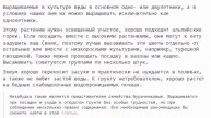 Эхиум посадка и уход полив удобрение выращивание из семян