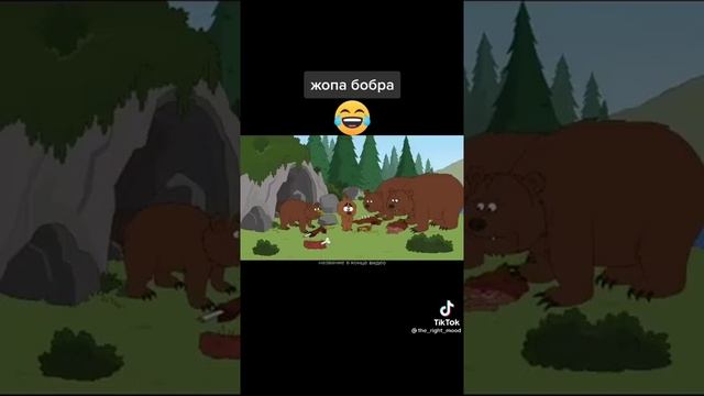 Ж??? бобра