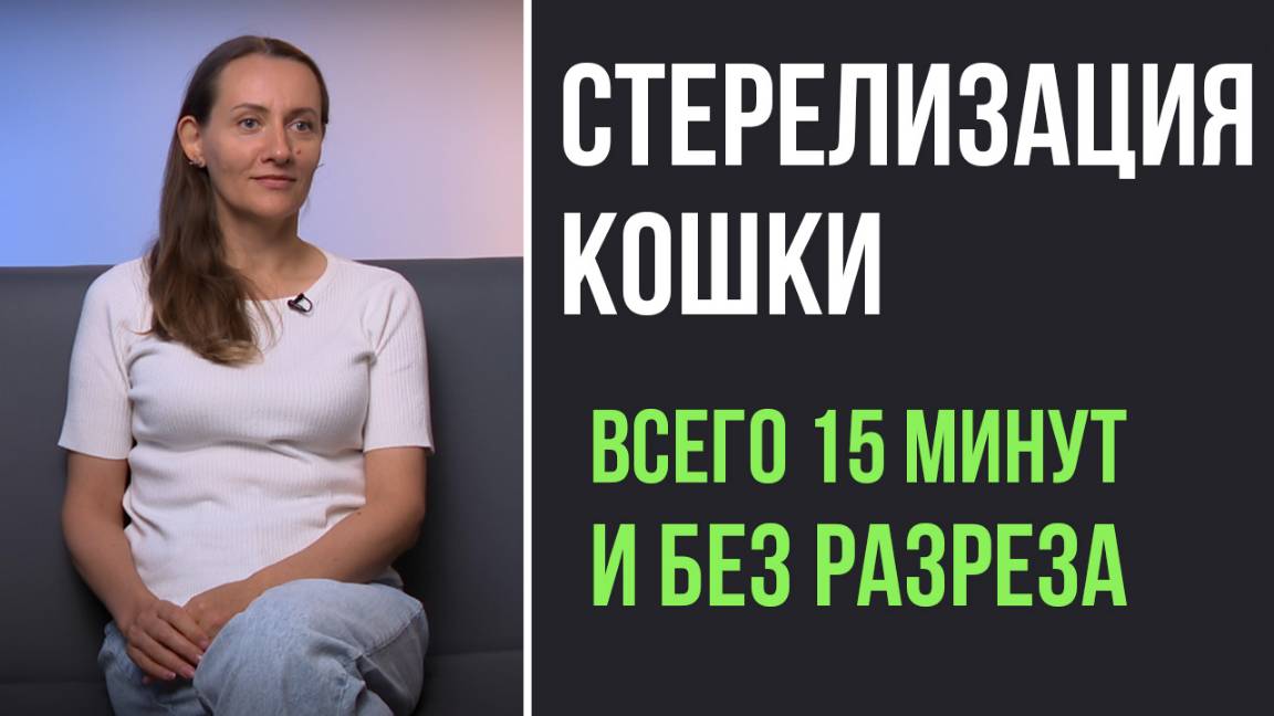 Топ-50 вопросов ветеринару о кастрации (стерилизации) кошек