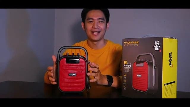 Why W-King T5 MINI???
