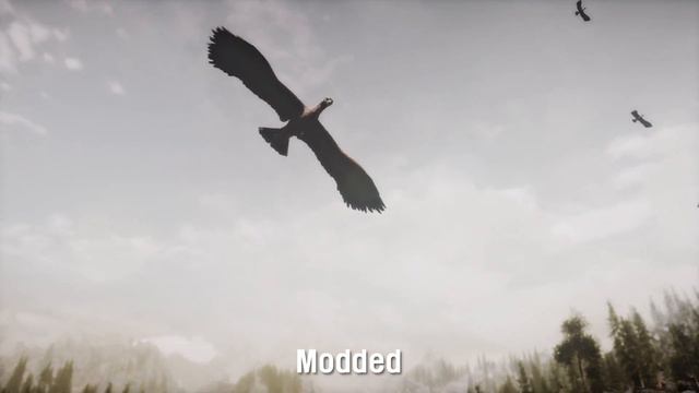 [SKYRIM MOD] Hawk Replacer I Mihail Animals Mod