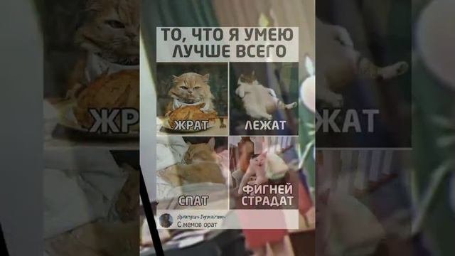 а ведь правд