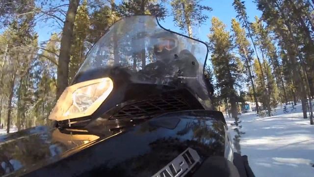STV 2016 Yamaha VK Professional II