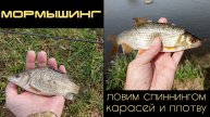Мормышинг. Ловим плотву и карасей спиннингом