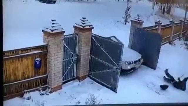 А вот и жена приехала
