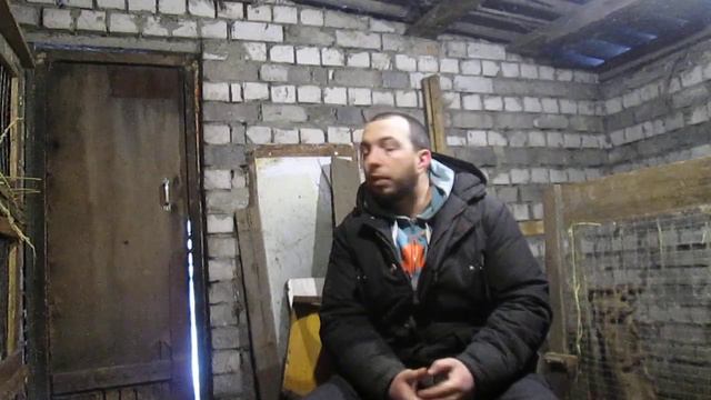 КРОЛИКИ ВСЁ :(((