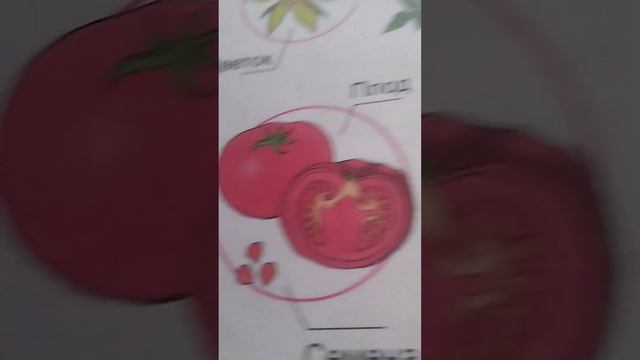 Глава 2 "Растение" Тема 6 "Практическое занятие" Строение растение