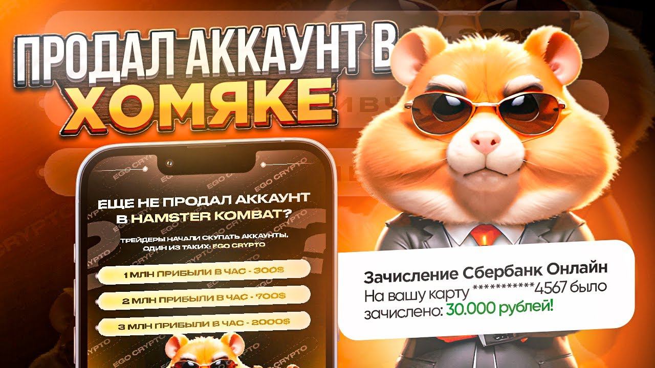 Продал Аккаунт в Хамстер Комбат за 300$| Как Заработать в Hamster Kombat|Как вывести деньги с Хомяка