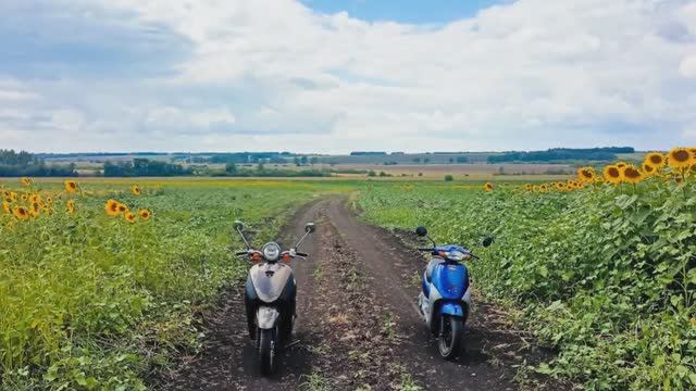 Дачки, деревушки, пруды и поля