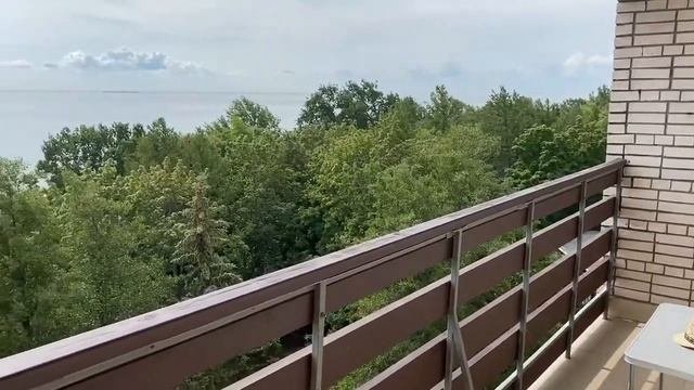 Гостиница Репинская  номер Студия