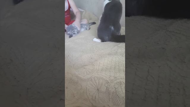 тимка лижет соню...ну а потом...