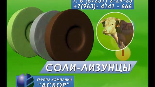Откорм скота соли лизунцы.avi