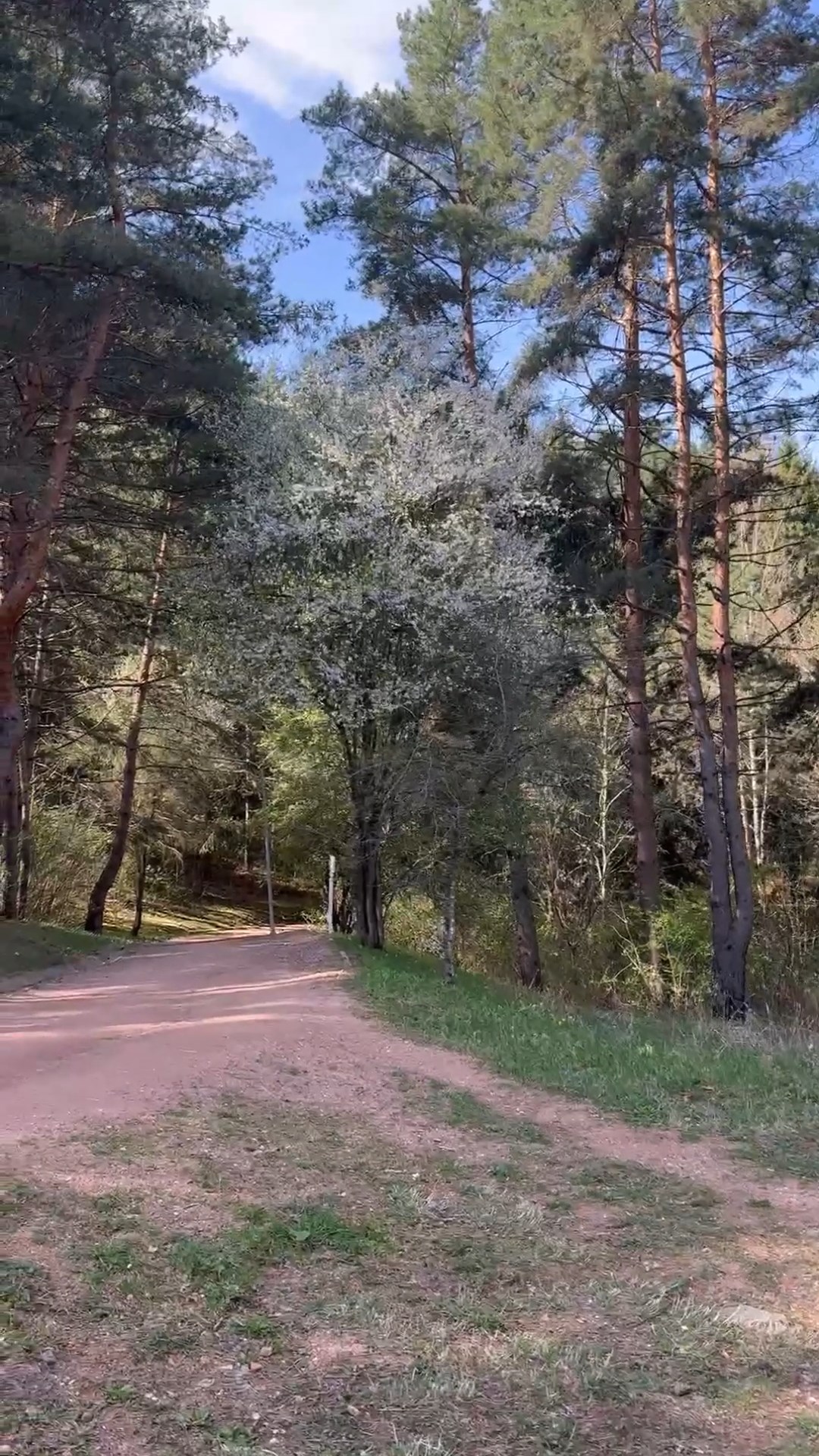 В Кисловодском парке сейчас природа меняется каждый день