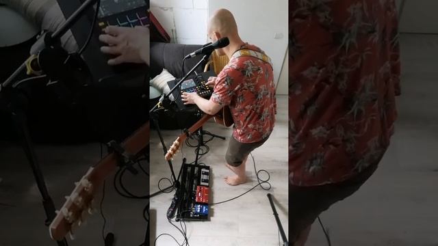 Avicii - Hey Brother (loop cover with Boss RC500 & MPC one)