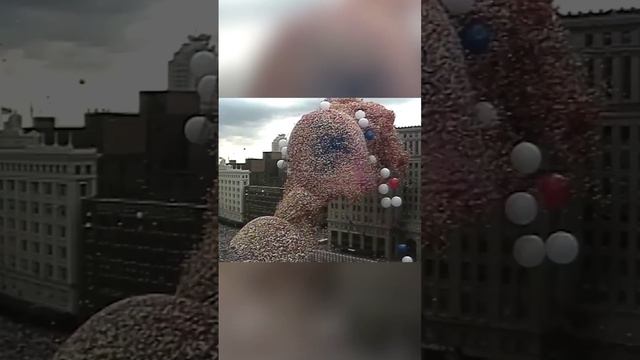 Полтора миллиона шаров выпустили в городе, и вот к чему это привело
