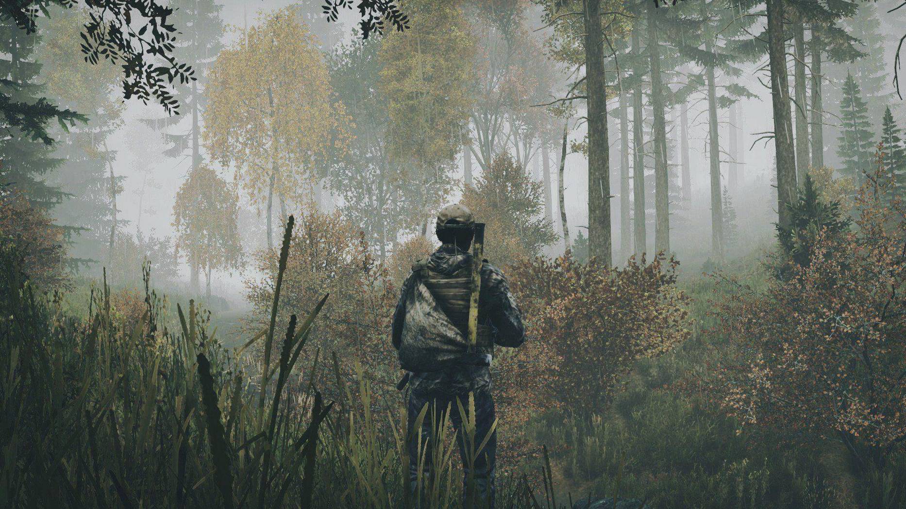 #Dayz AlterEgo щупаем ливонию после вайпа | #dayz #dayzstandalone #dayzpvp