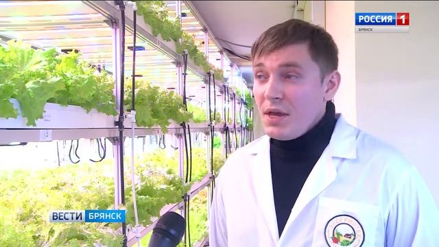 Вертикальные фермы Экогринтек