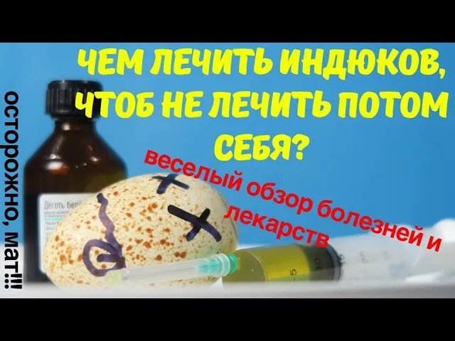 Выращивание индюков. Чем лечить, чтобы не лечиться самому? Веселый обзор лекарств. Видео №3 Часть 1