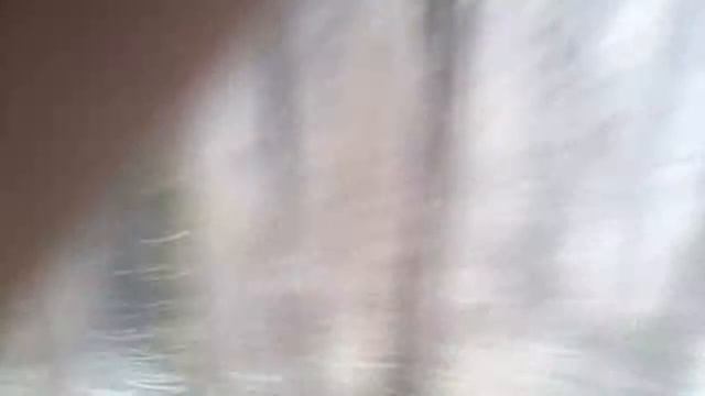 Бешеная собака