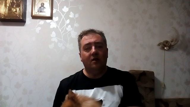 О своей будущей книге "Вынужденное предательство"!