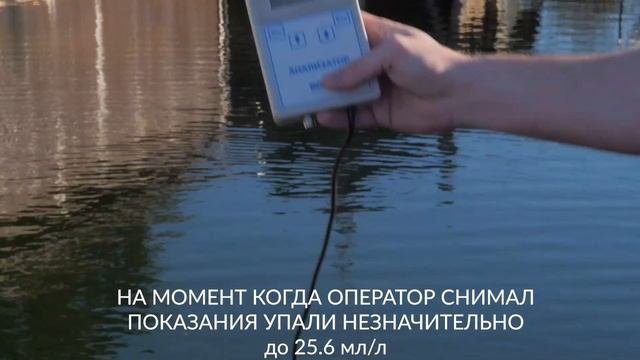 Хлорелла. Уход за прудом