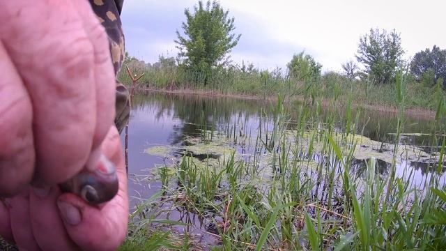 РЫБАЛКА ПОД ДОЖДЁМ УДАЛАСЬ! СУПЕР УЛОВ! ПОЙМАЛА САМА НЕ ЗНАЮ ЧТО, НО БОЛЬШОЕ!