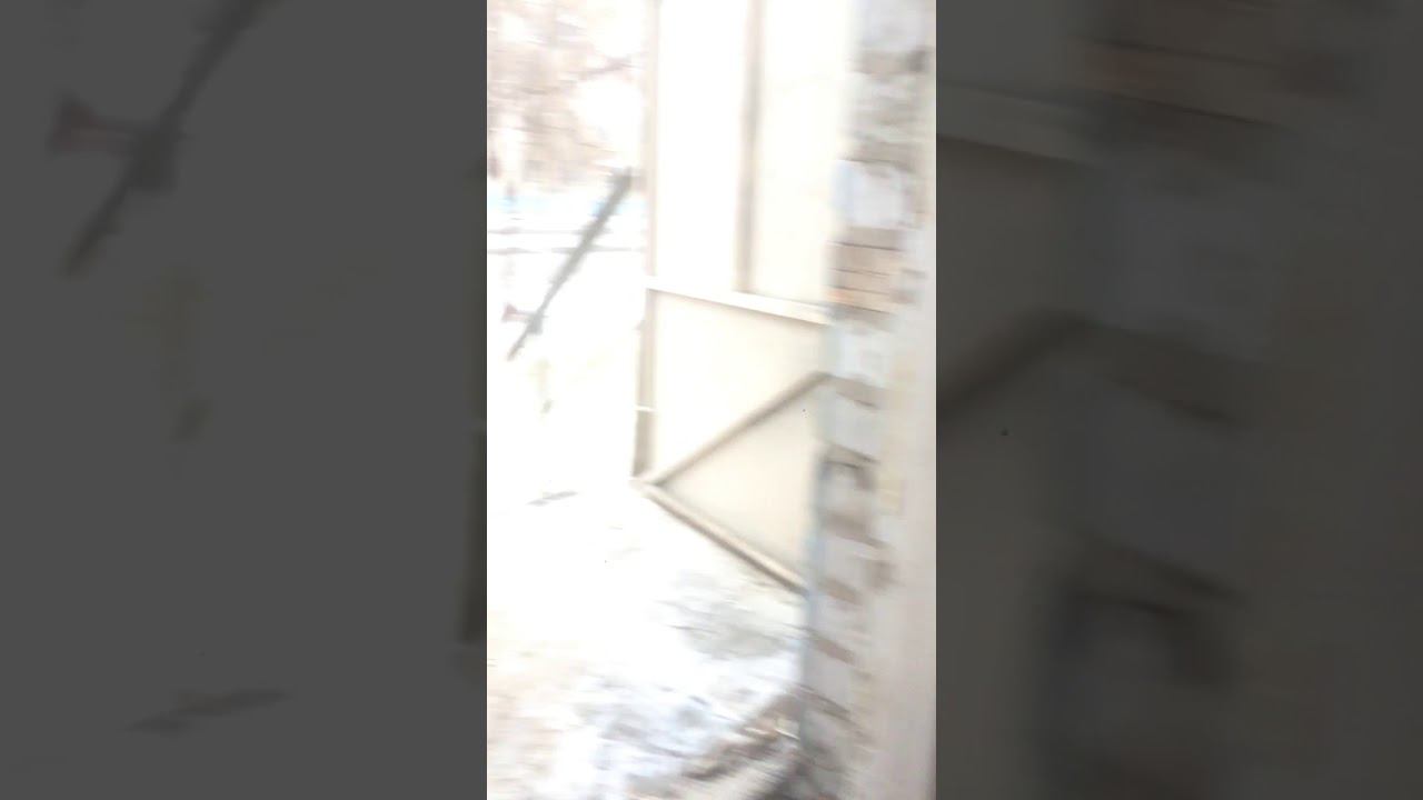 15 декабря 2020 г.