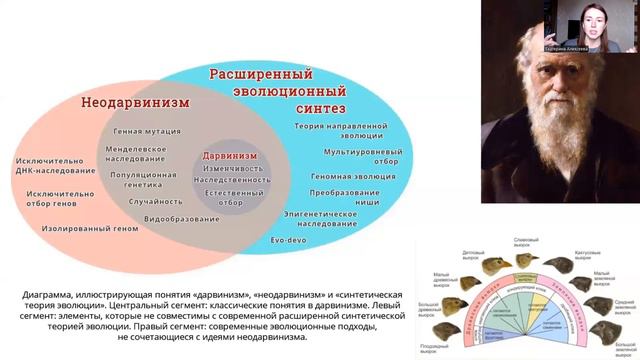 Что такое кризис эволюционной теории Дарвина?