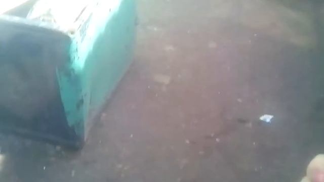 Ура ура убежала от собаки Динго"