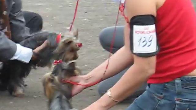 Хозяйка на выставке в Александрове 2012 2
