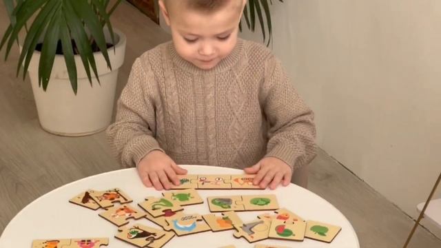 Набор пазлов ПЗЛ13