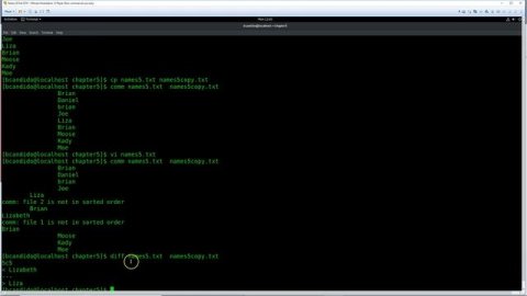 Chapter 5 comm and diff Commands