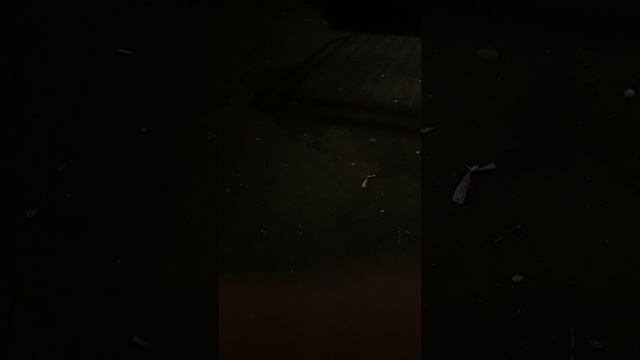 ODASTREET на рампах